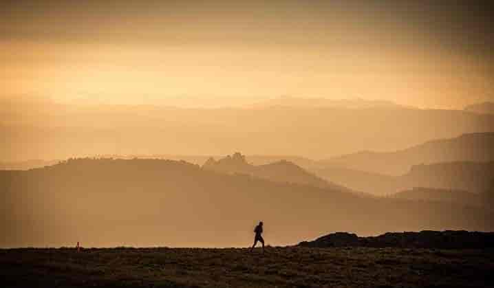 XII Territorio Mentiras 2026